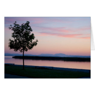Amanecer rosa
