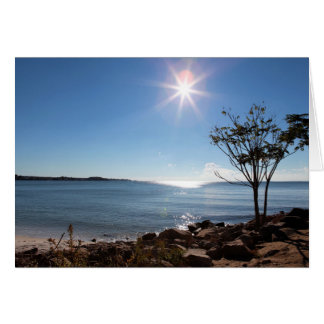 Amanecer sobre el Parque Estatal Rocky Neck - En b