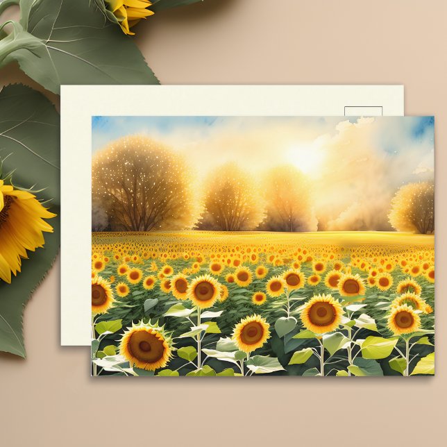Amanecer sobre un campo de girasoles Tarjeta posta (🌻 Artistry at Sunrise: Sunflowers Postcard! 🎨)