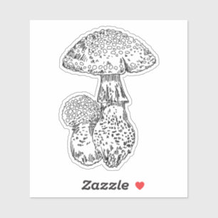 Amanita Mushroom Pegatina