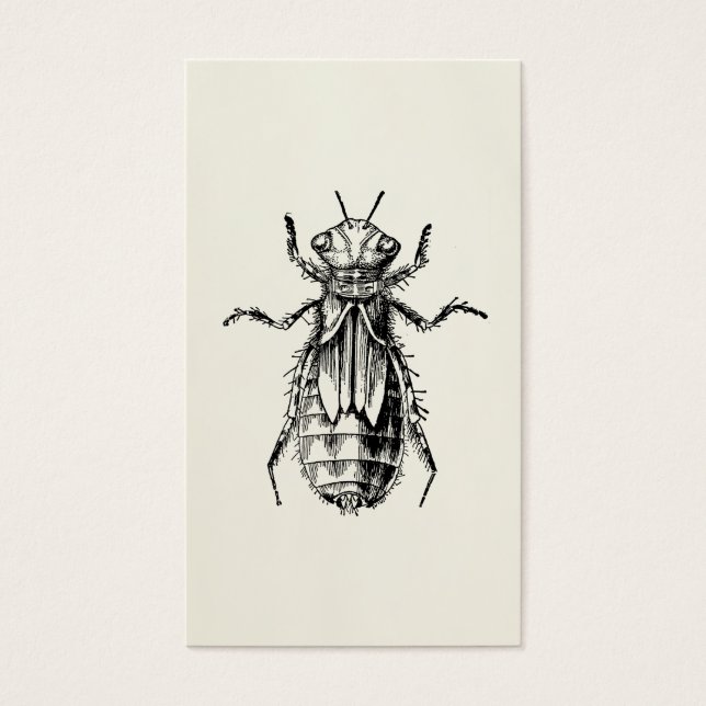 Amante del insecto de la ninfa de la libélula (Frente)