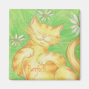 ¡Amante "Purrfect de Sun! 'cuadrado del imán