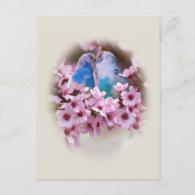 Amante tarjeta postal de las paracaídas (Anverso)