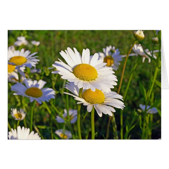 Amantes (Anverso (Horizontal))