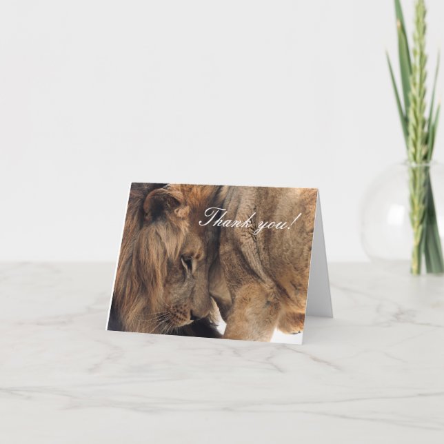 Amantes a los leones - Tarjetas de agradecimiento (Anverso)