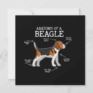 Amantes De Beagle/ Anatomía De Un Beagle
