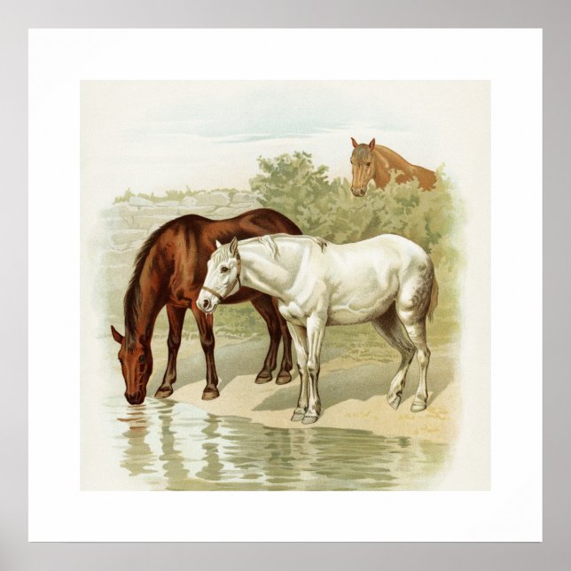 Amantes de caballos de la época del arte (Frente)