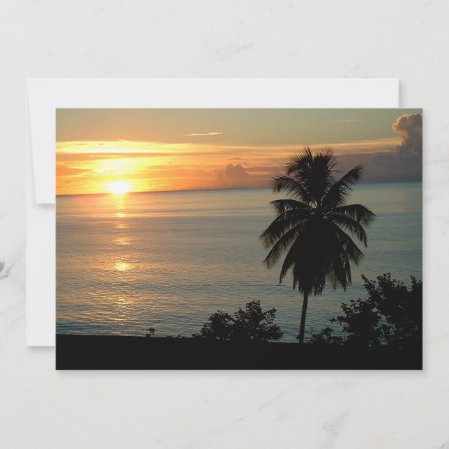 Amantes de colores asombrosos (Anverso)