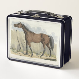 amantes de los caballos lindos