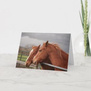 Amantes del caballo reciben tarjetas de felicitaci
