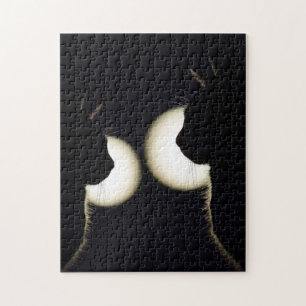 AMANTES DEL GATO EN EL PUZZLE DE JIGSAW DE LA LUZ