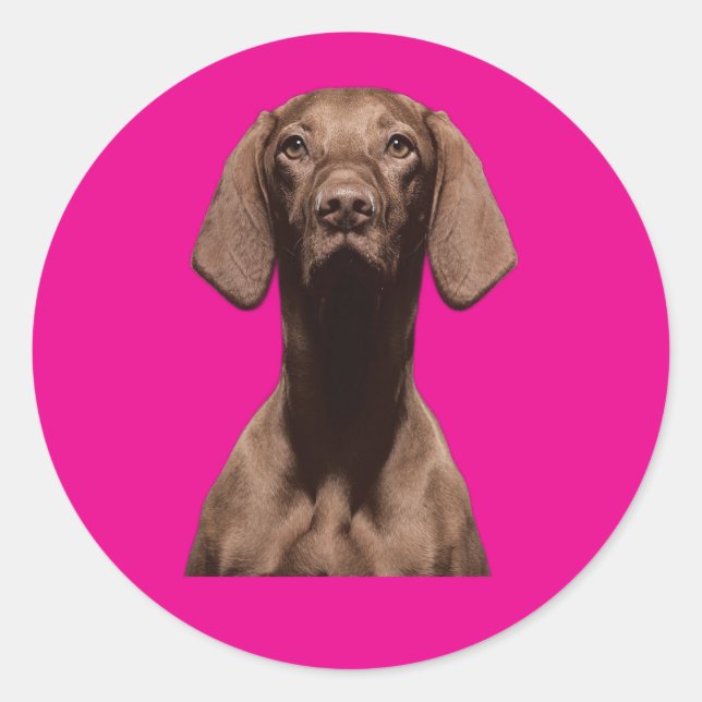 Amantes del perro pegatinas (Anverso)