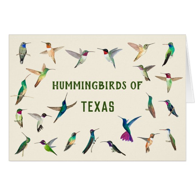 Amantes Hummingbirds de Texas (Anverso (Horizontal))