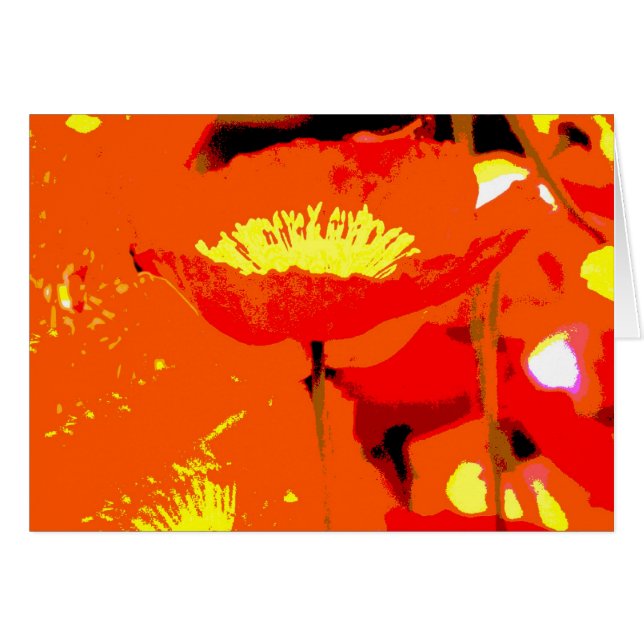 Amapola de California (Anverso (Horizontal))