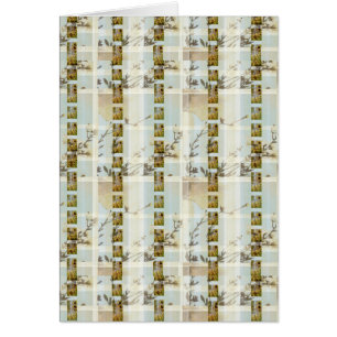 Amapola Floralplaid Giftcard del girasol