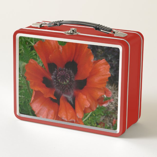 amapola oriental      (Anverso)