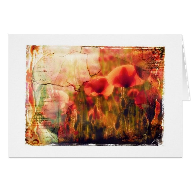 amapolas (Anverso (Horizontal))