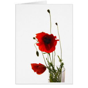 Amapolas