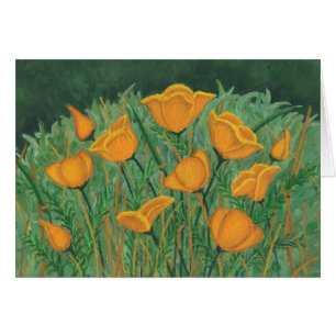 Amapolas