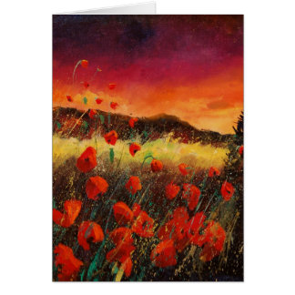 amapolas en la puesta del sol 76