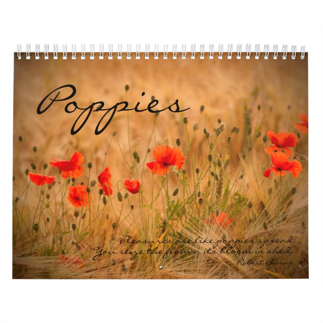 Amapolas en mi jardín de la amapola - calendario (Tapa)