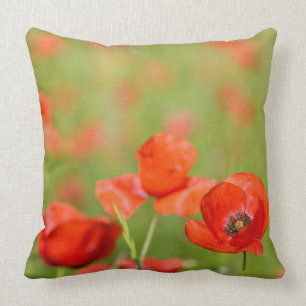 Amapolas en una almohada de tiro del campo de la