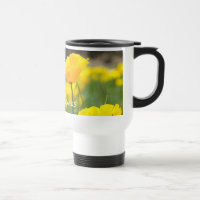 AMAPOLAS FLOR DE AMAPOLA TAZA DE CAFE TAZAS DE VIA
