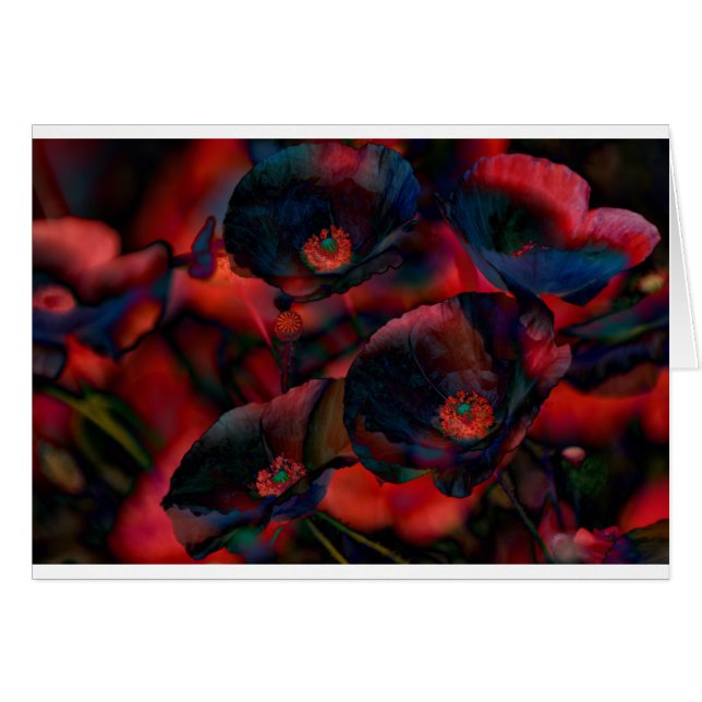 Amapolas negras (Anverso (Horizontal))