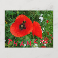Amapolas Rojas con Abeja Tarjeta de GRACIAS