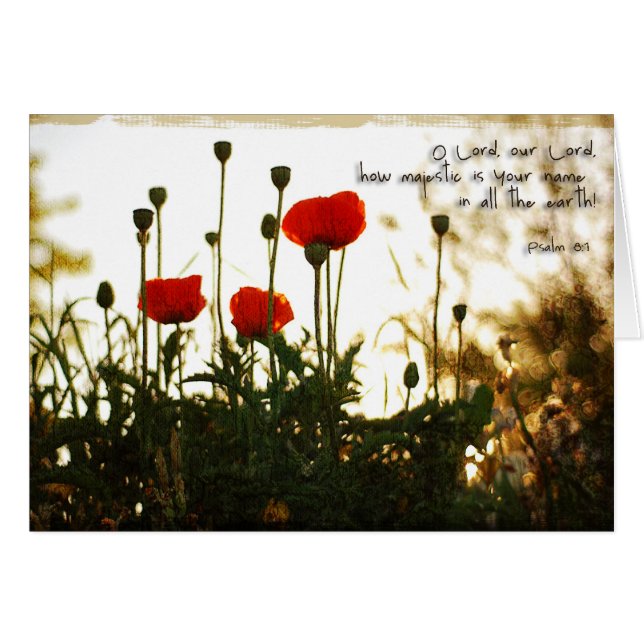 Amapolas rojas en la puesta del sol (Anverso (Horizontal))