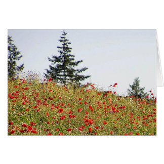 Amapolas rojas en una tarjeta de la ladera