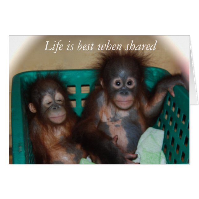 Amar (Anverso (Horizontal))