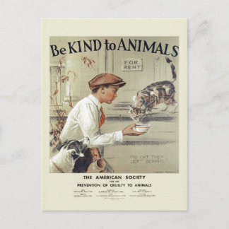 Amar a los animales de la tarjeta postal antigua d