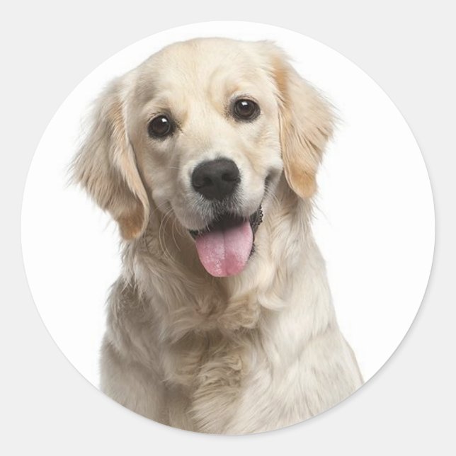 Amar a los Pegatinas de perros copiosos de Golden  (Anverso)