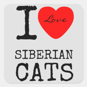 Amar a los Pegatinas gatos siberianos