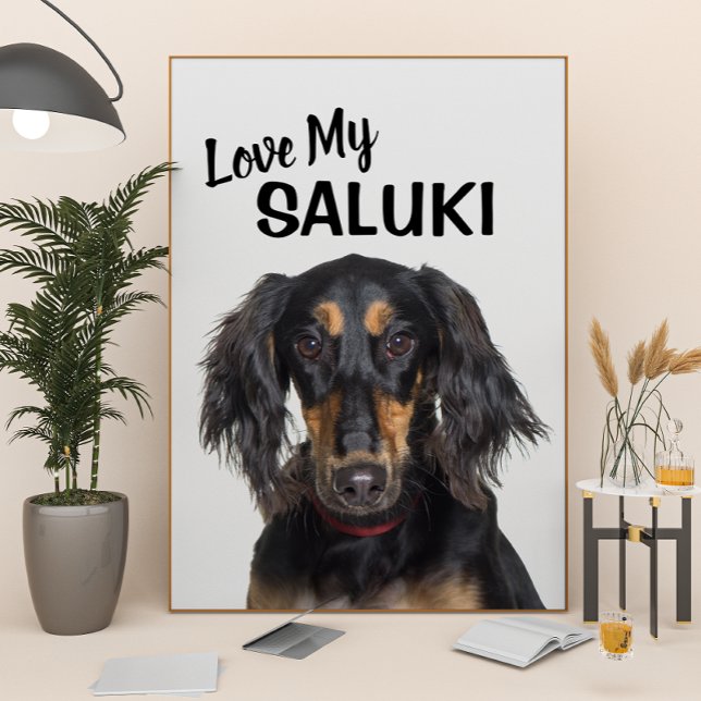 Amar a mi Poster retrato de Saluki (Subido por el creador)