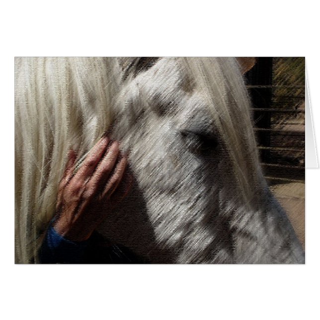 Amar a un caballo (Anverso (Horizontal))