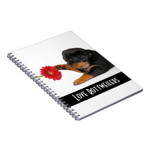 Amar cachorro Rottweiler con cuaderno de margarita
