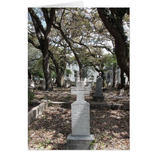 Amar el cuidado (Frente)