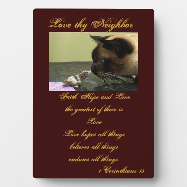 Amar la placa de tu vecino (Frente)