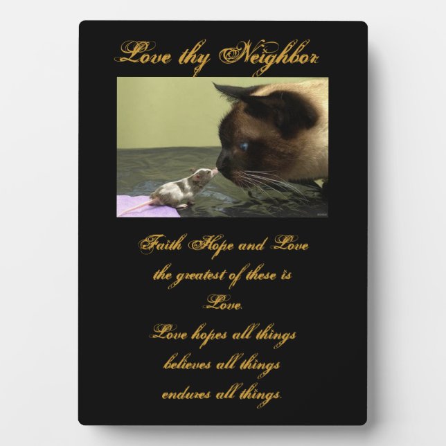 Amar la placa de tu vecino (Frente)