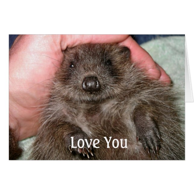 Amar la tarjeta (Anverso (Horizontal))