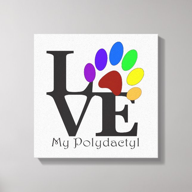 AMAR mi arte de gato polidáctil (Anverso)