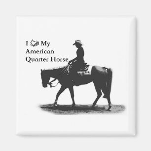 Amar mi imán de cuarto de caballo