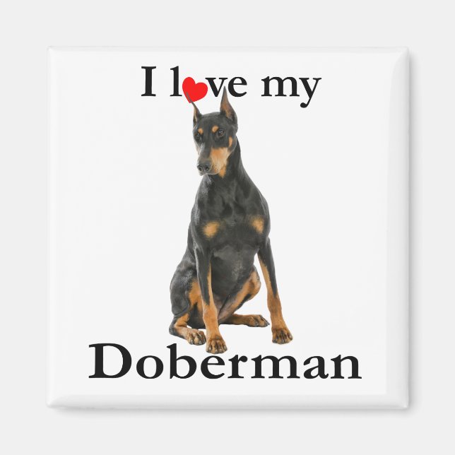 Amar mi imán Doberman (Frente)