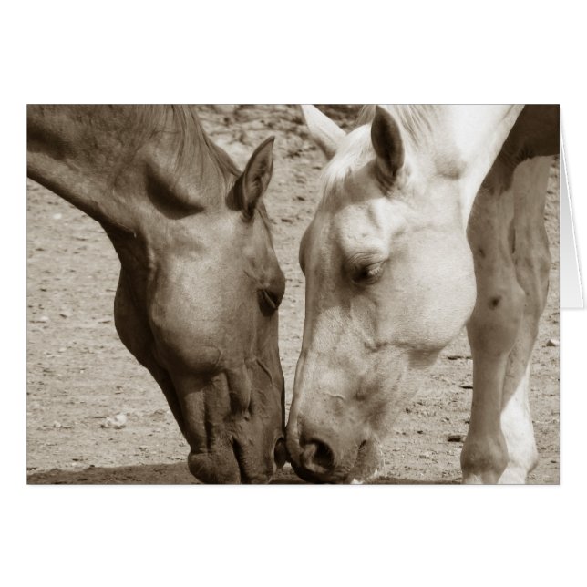 Amar unos a otros (Anverso (Horizontal))