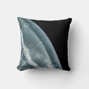 Amarilla de la luna y almohada nudibial blanca