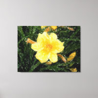 Amarillo Amarillo Narcico flor naturaleza arte ori