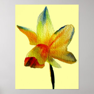 Amarillo Daffodil acuarela primavera arte de la fl