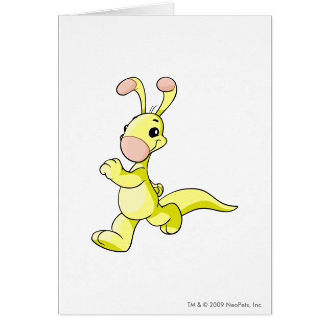 Amarillo de Blumaroo (Frente)